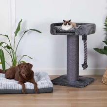 100cm Cat Scratching Post with Bed
